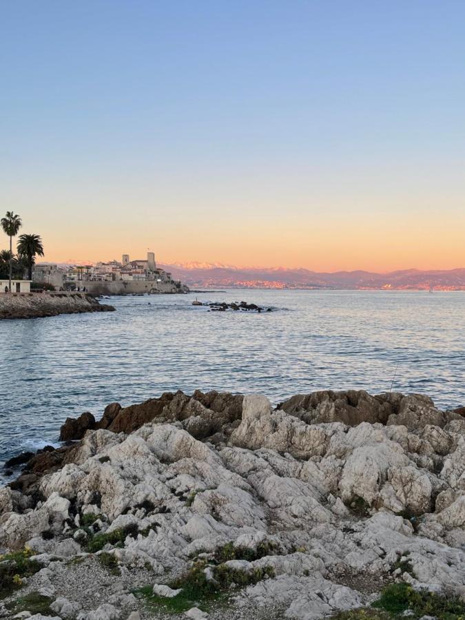 Cozy Studio On The Beach Antibes Dış mekan fotoğraf